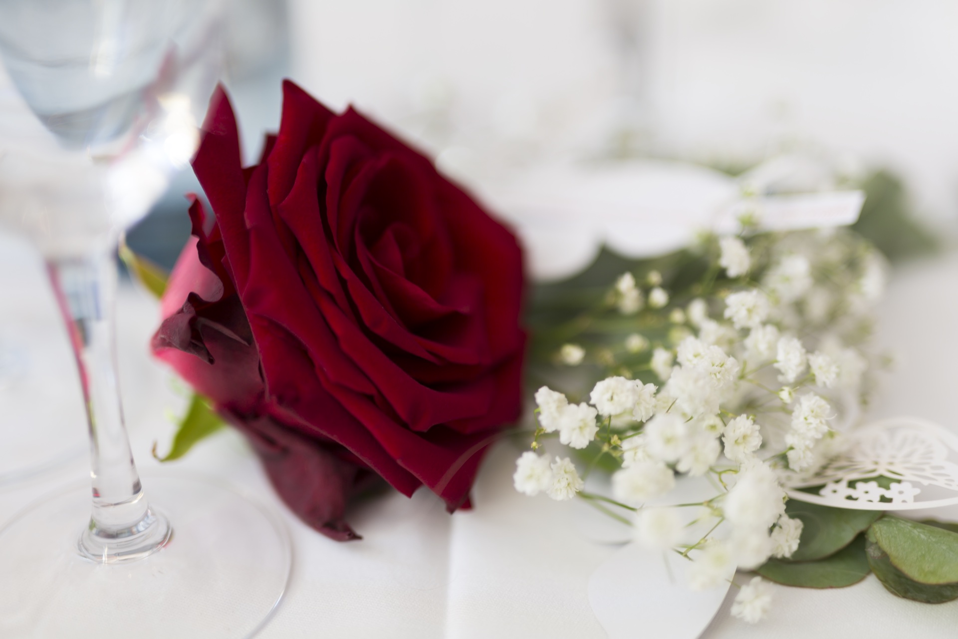 81 Hochzeit ReinhardUndJuergen 2293